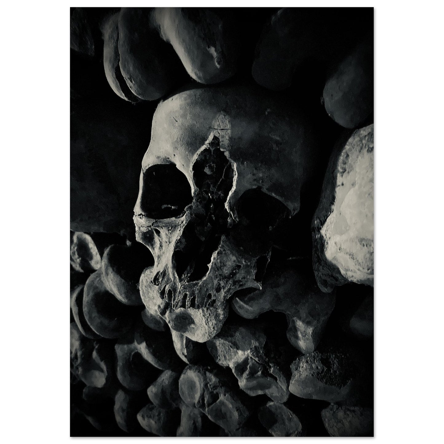 e645e583-de46-4bfc-b4d9-13eb52dca7ab