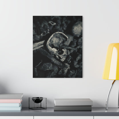 Paris Catacombs Broken Skull Acrylic Photography Print by BeautyInDeathArt