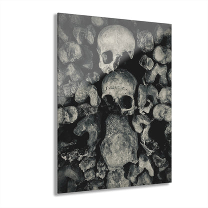 Acrylic Wall Art - Skull Photography Paris Catacombs Print